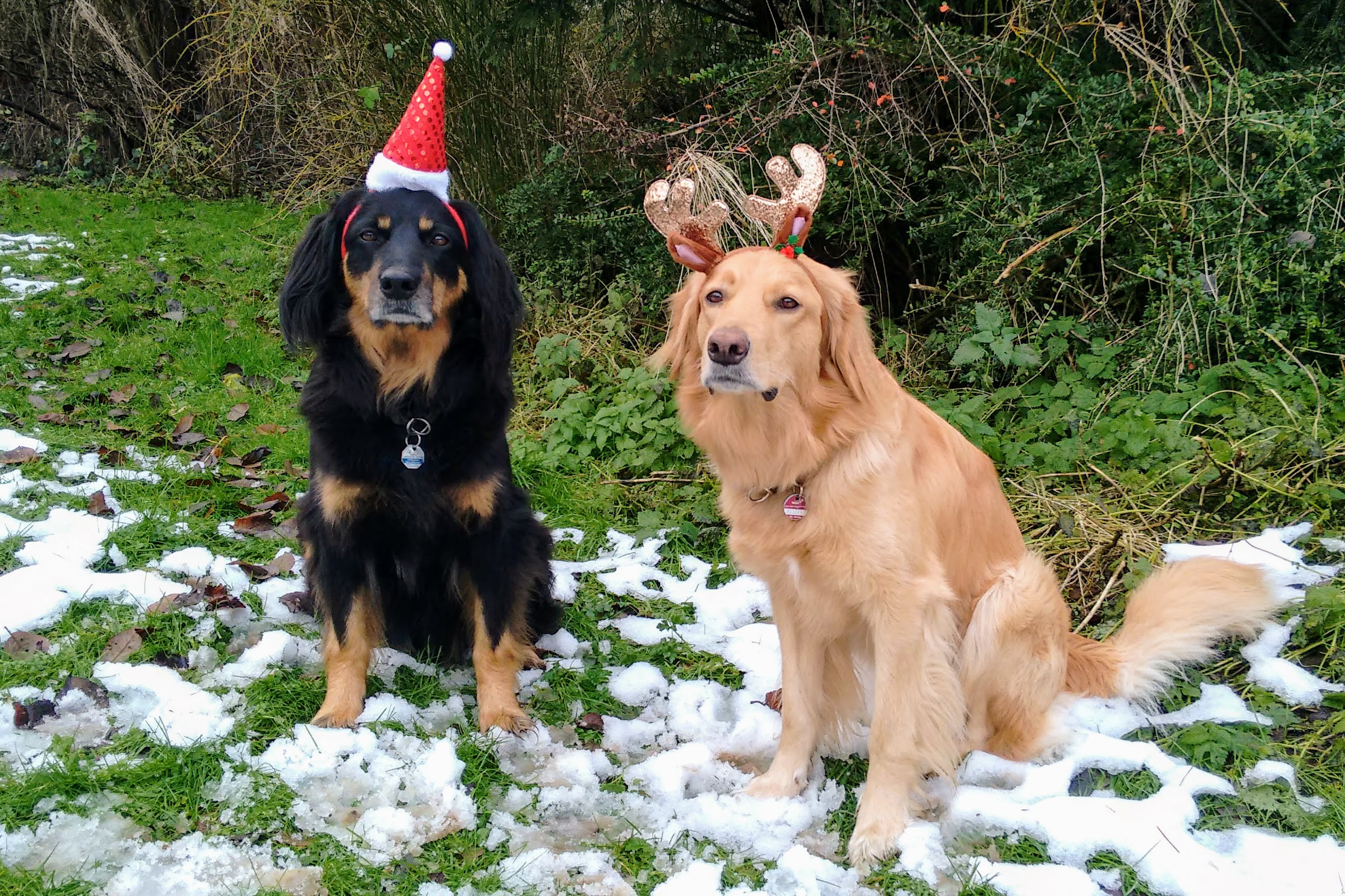 Weihnachten 2017